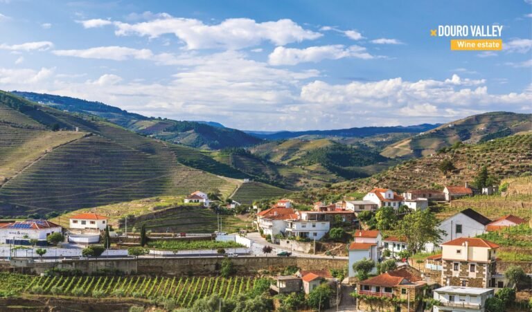 PT15 Douro Valley - Wine estate