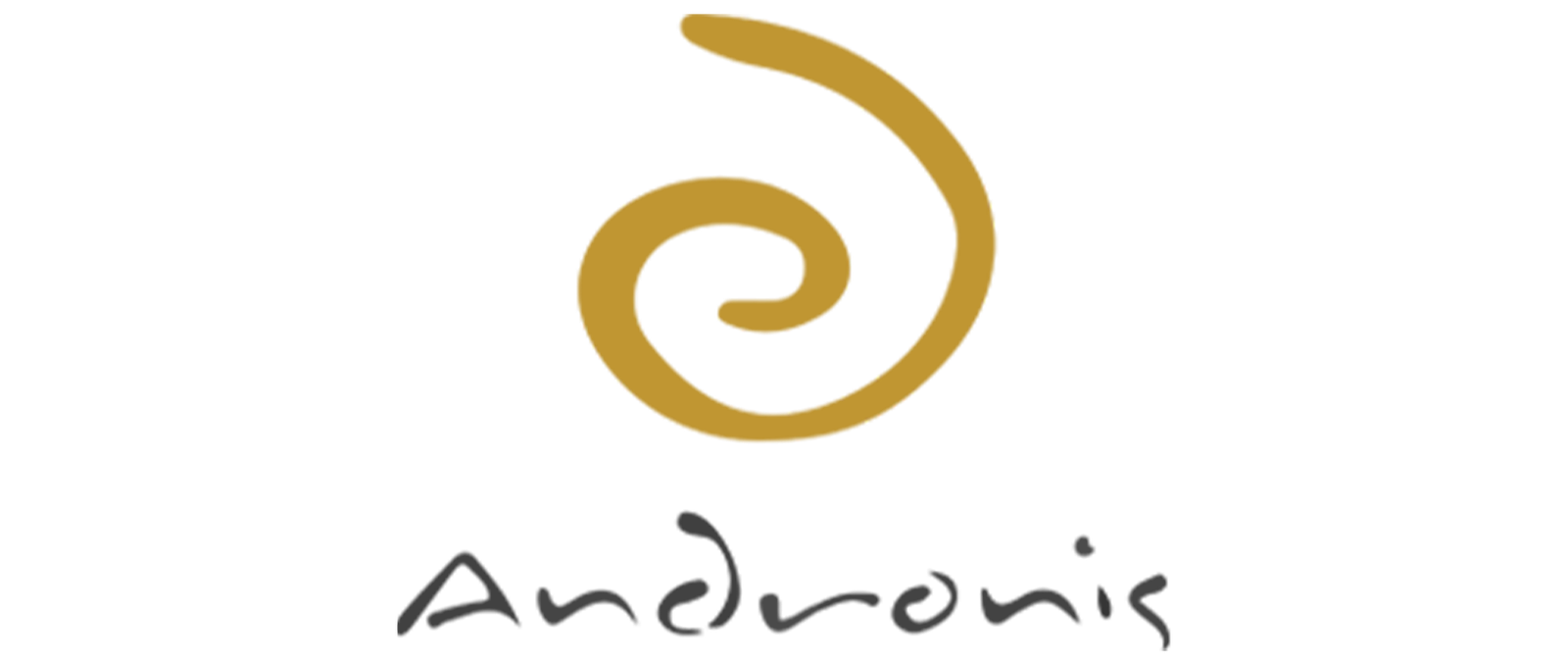 Andronis logo 2
