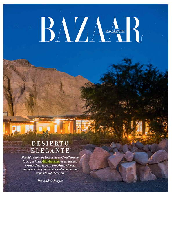 Bazaar-Alto Atacama_1