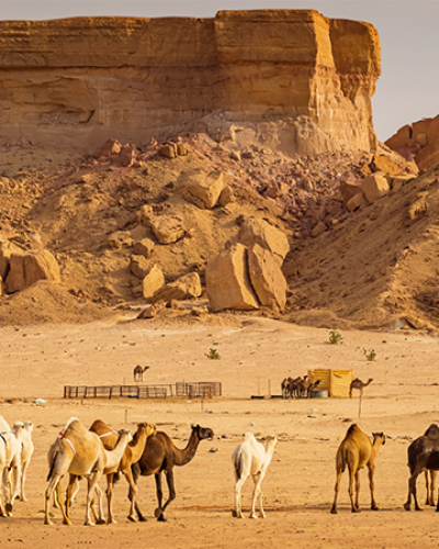 2xceed_Saud Arabia_2