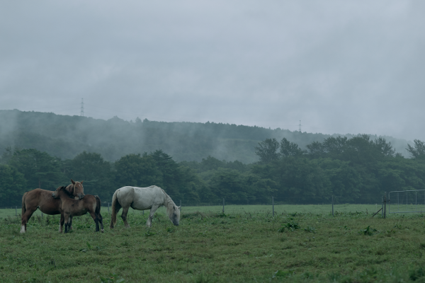 Azuma Farm_footer