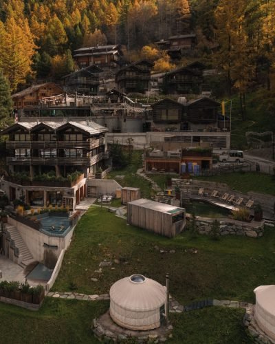 CERVO_Autumn