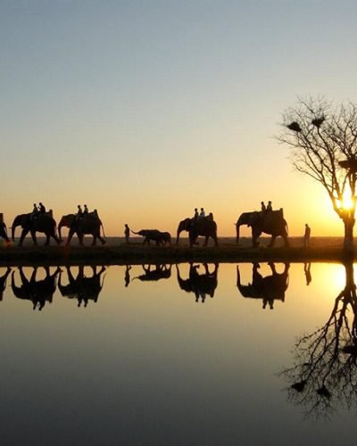 Journey Beyond_Camp Jabulani Ele
