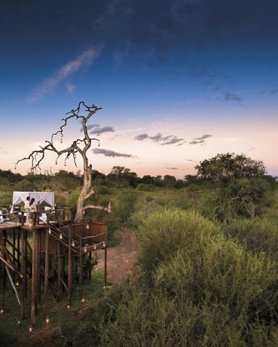 Journey Beyond_Chalkley Tree House Liion Sands