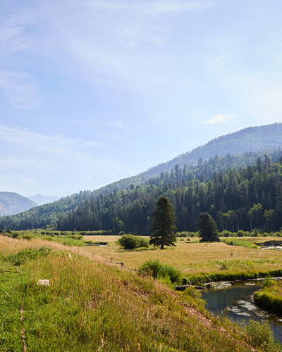 Dunton River Camp_landscape
