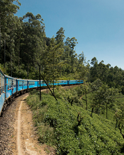 Experience Travel Group_Sri Lanka - Hill Country