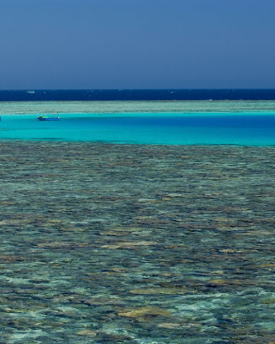 Experium Travel_coral sea hurghada