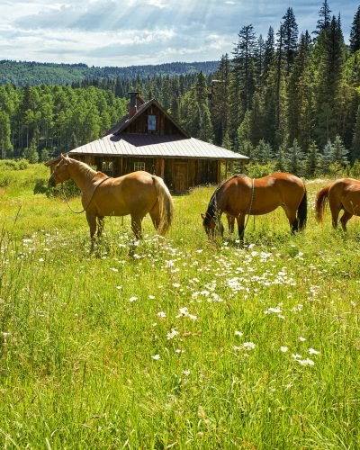 Dunton Hot Springs_Horses in town