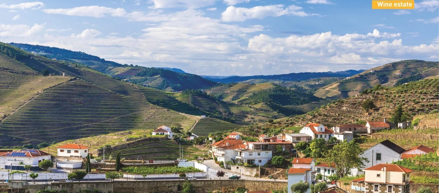PT15 Douro Valley - Wine estate