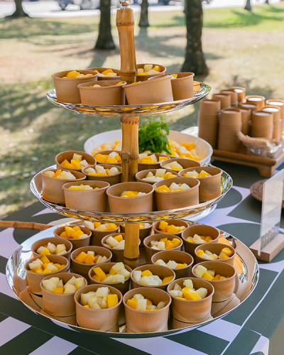 Picnic 2026
