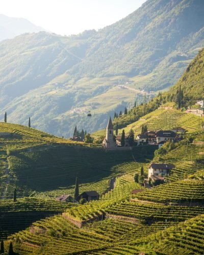 Vineyards,On,The,Rolling,Hills,In,Santa,Maddalena,,Rencio,District